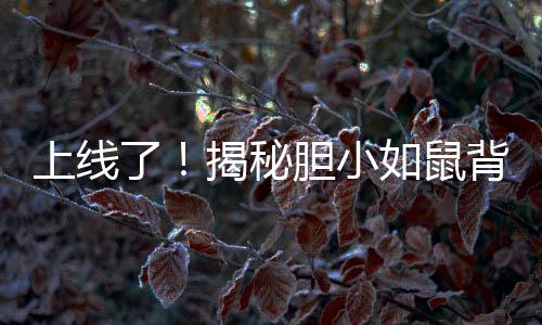 上线了！揭秘胆小如鼠背后的心理学奥秘