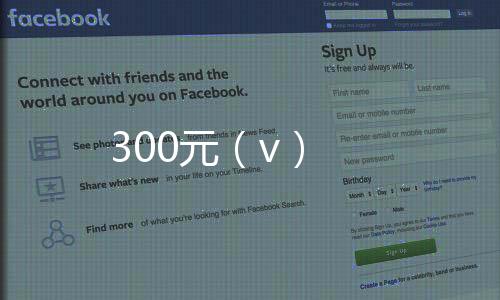 300元（v）